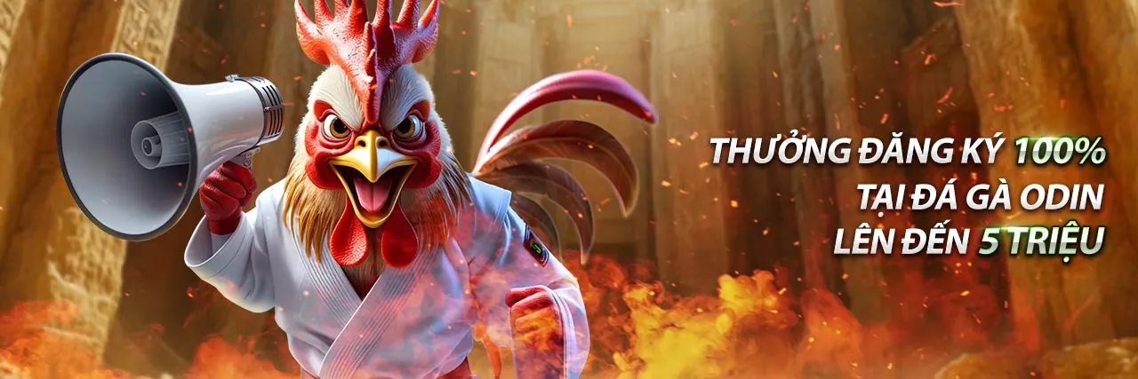 Tổng quan về nền tảng đá gà trực tuyến 123win ok99